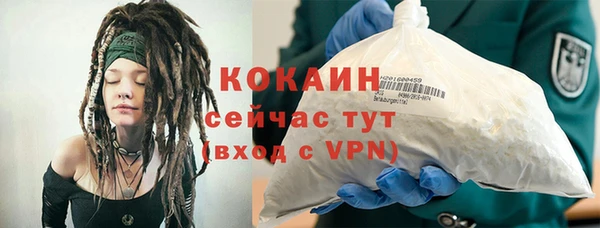 хмурый Арсеньев