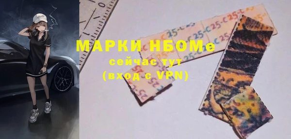 хмурый Арсеньев