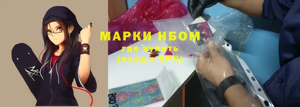 хмурый Арсеньев