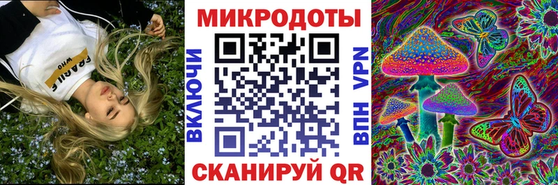 Галлюциногенные грибы Psilocybe  Купить  Дмитровск 