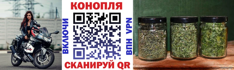 Купить  Дмитровск  Марихуана гибрид 